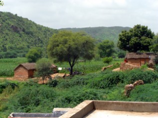 ACEが支援を行っている農村の風景