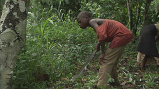 NHK BS1「地球ドキュメント ミッション」 カカオ畑の子どもたちを救え
