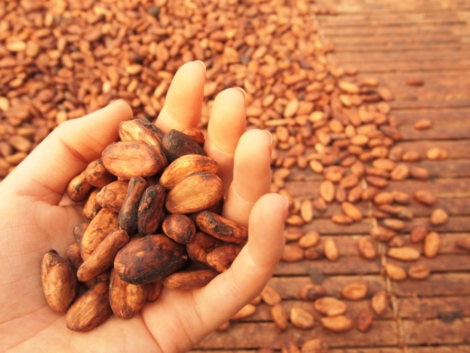 発酵後に天日干しで乾燥させたカカオ豆