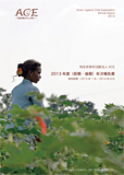 ACE年次報告書（2013年度）