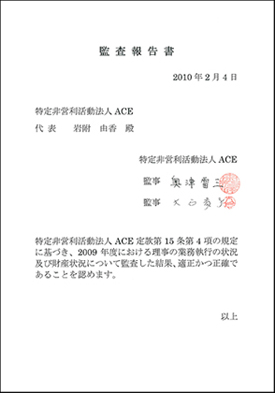 finance2011-7 2009年度監査報告書