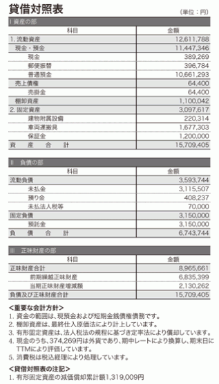 2011年度貸借対照表