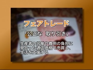 DVD「おいしいチョコレートの真実」チャプター4 「児童労働をなくす取り組み」産業の取り組み、フェアトレード