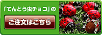 てんとう虫チョコのご注文はコチラ てんとう虫チョコはACEオンラインショップからご注文ください