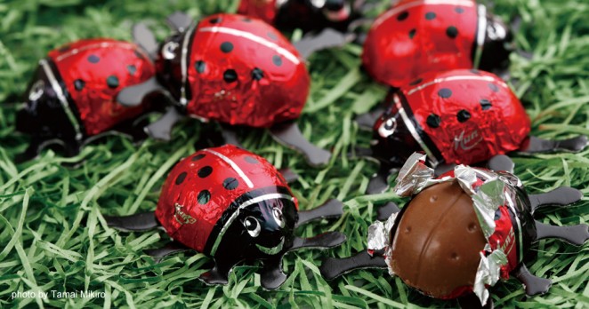 「てんとう虫」は、ヨーロッパでしあわせのシンボルとして親しまれています。