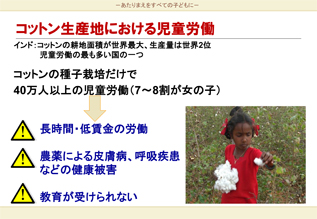 インドのコットン生産地における児童労働