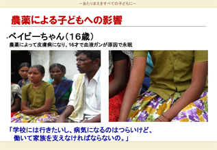 コットン生産地での農薬による子どもへの影響