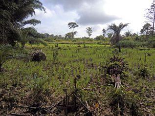学校から歩いて40分も離れた所に住む姉妹を訪ねました