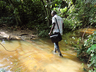 学校に行く途中の小川、20センチ以上の深さがあります