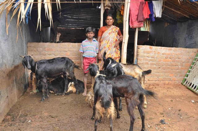 2010年3月、ヤギの放牧をして働いていた時のクマール君とお母さん