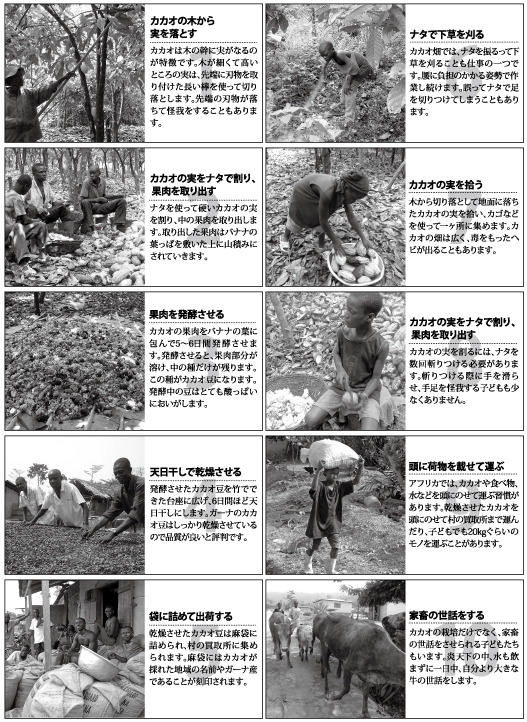 写真素材（フォトランゲージ用写真）