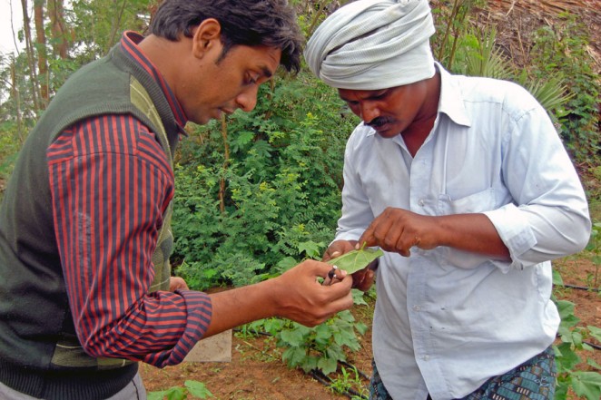 農業の技術訓練の様子