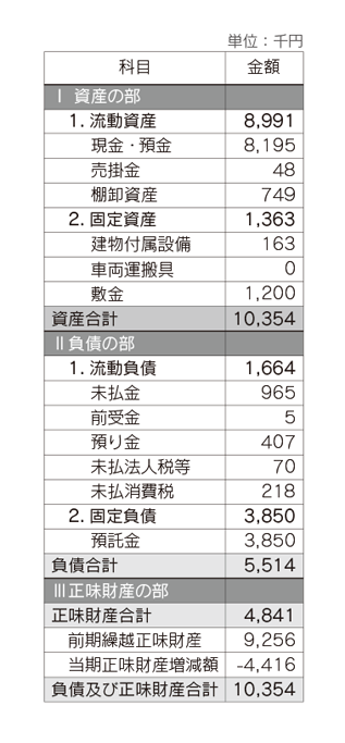 ACE　2013年度（前期）貸借対照表