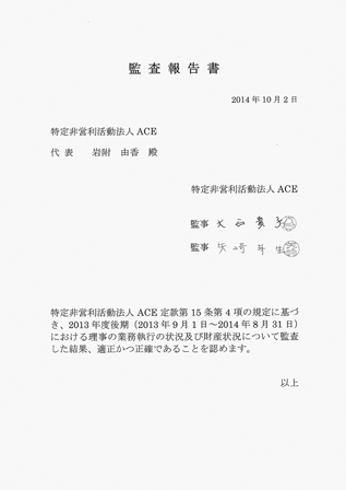 ACE　2013年度（後期）監査報告書