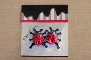 しあわせを運ぶ てんとう虫チョコ（2個入りパック）