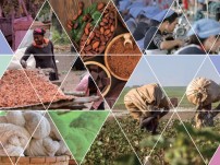 ACE法人向けブローシャー