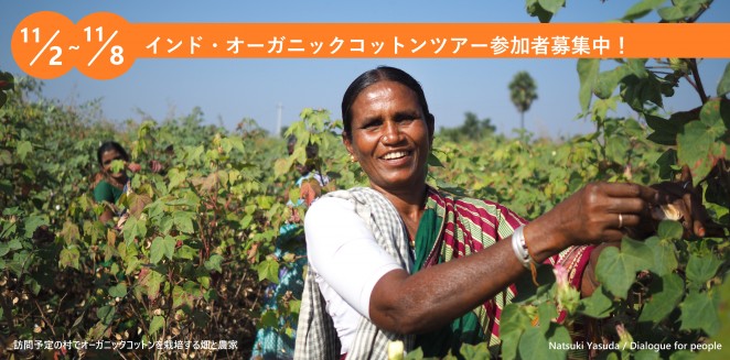 コットンツアー参加者募集中!
