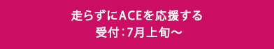 走らずにACEを応援する