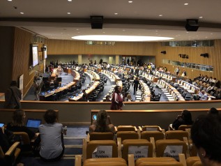 自発的国別レビューの発表を2階から傍聴