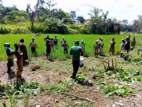 トレーニングの様子