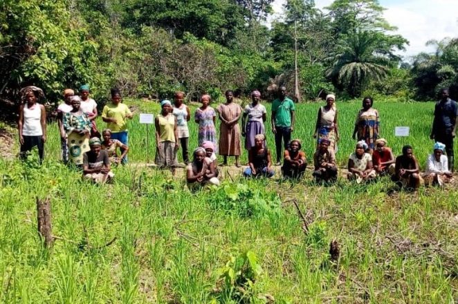 コメ栽培トレーニング参加者